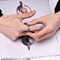 Mens 8mm Black Damascus Steel Wedding Ring With Ebony Wood Inlay ring